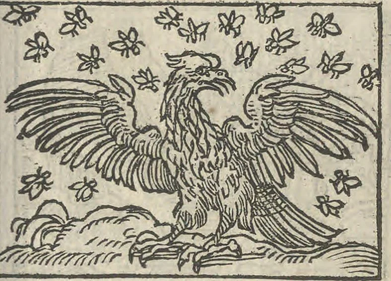 An illustration from Le theatre des bons engins, auquel sont contenuz cent emblemes moraulx, 1546, leaf 48