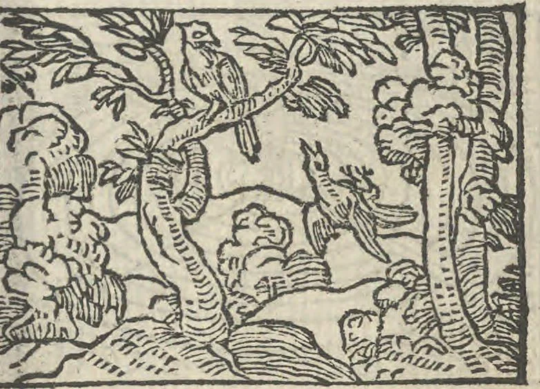 An illustration from Le theatre des bons engins, auquel sont contenuz cent emblemes moraulx, 1546, leaf 50