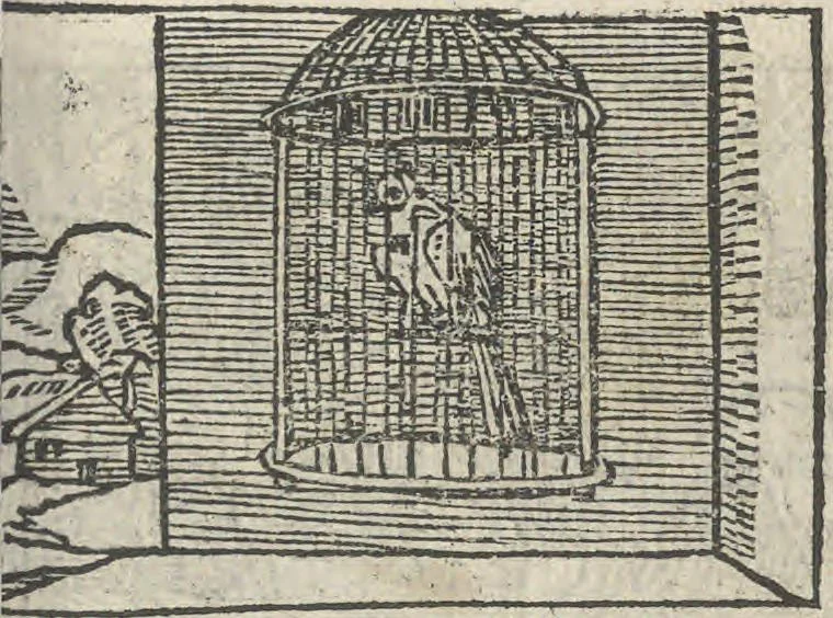 An illustration from Le theatre des bons engins, auquel sont contenuz cent emblemes moraulx, 1546, leaf 54