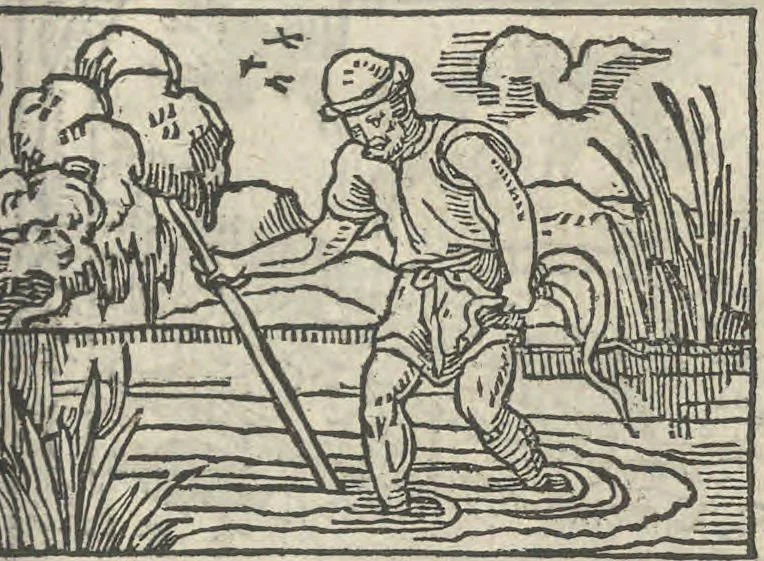 An illustration from Le theatre des bons engins, auquel sont contenuz cent emblemes moraulx, 1546, leaf 60