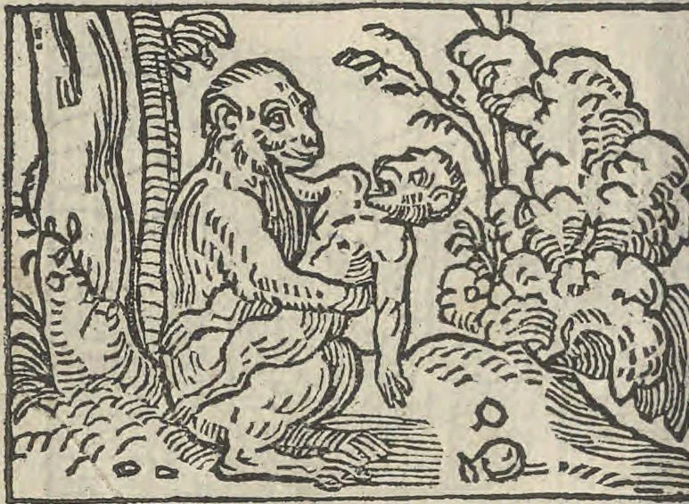 An illustration from Le theatre des bons engins, auquel sont contenuz cent emblemes moraulx, 1546, leaf 63