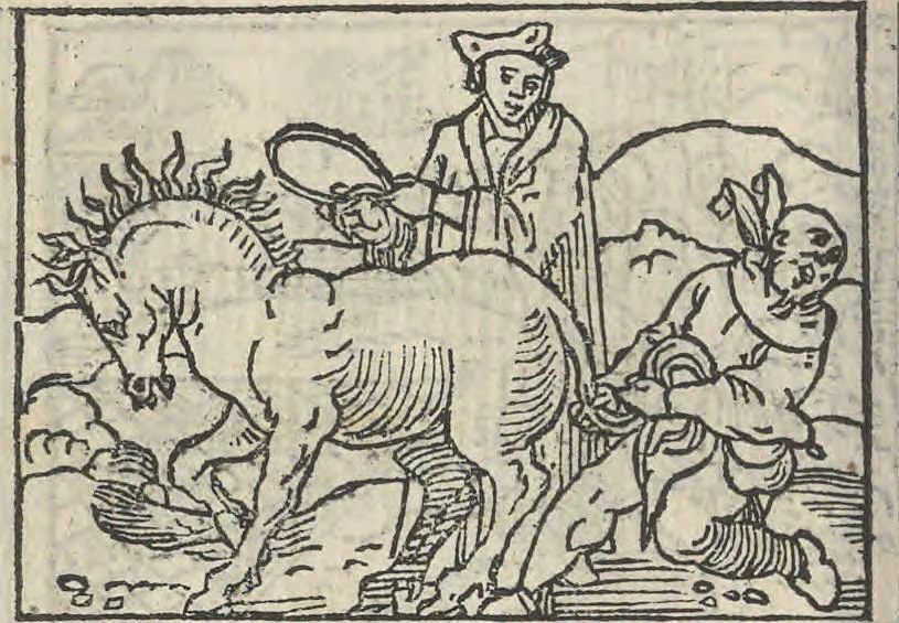 An illustration from Le theatre des bons engins, auquel sont contenuz cent emblemes moraulx, 1546, leaf 71