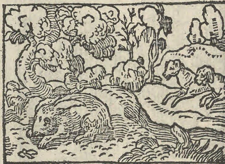 An illustration from Le theatre des bons engins, auquel sont contenuz cent emblemes moraulx, 1546, leaf 77