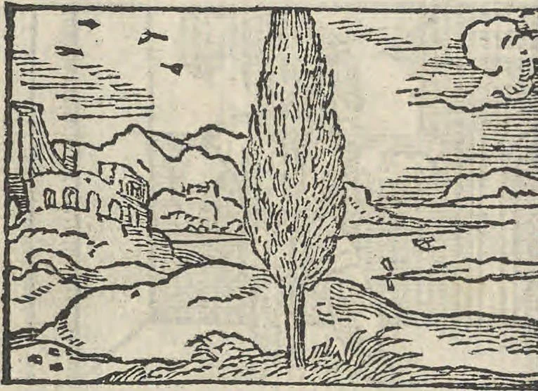 An illustration from Le theatre des bons engins, auquel sont contenuz cent emblemes moraulx, 1546, leaf 81
