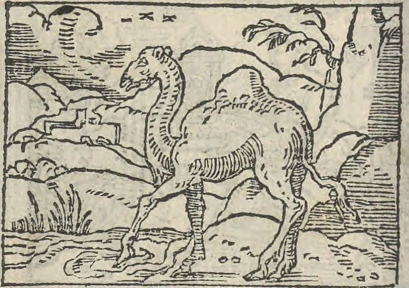 An illustration from Le theatre des bons engins, auquel sont contenuz cent emblemes moraulx, 1546, leaf 85