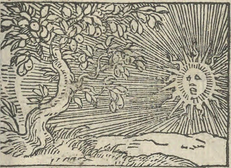 An illustration from Le theatre des bons engins, auquel sont contenuz cent emblemes moraulx, 1546, leaf 88