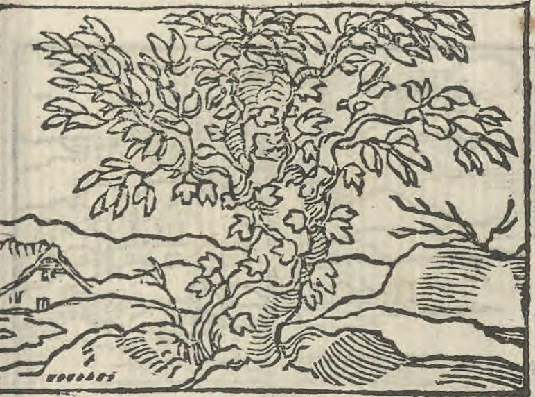 An illustration from Le theatre des bons engins, auquel sont contenuz cent emblemes moraulx, 1546, leaf 98