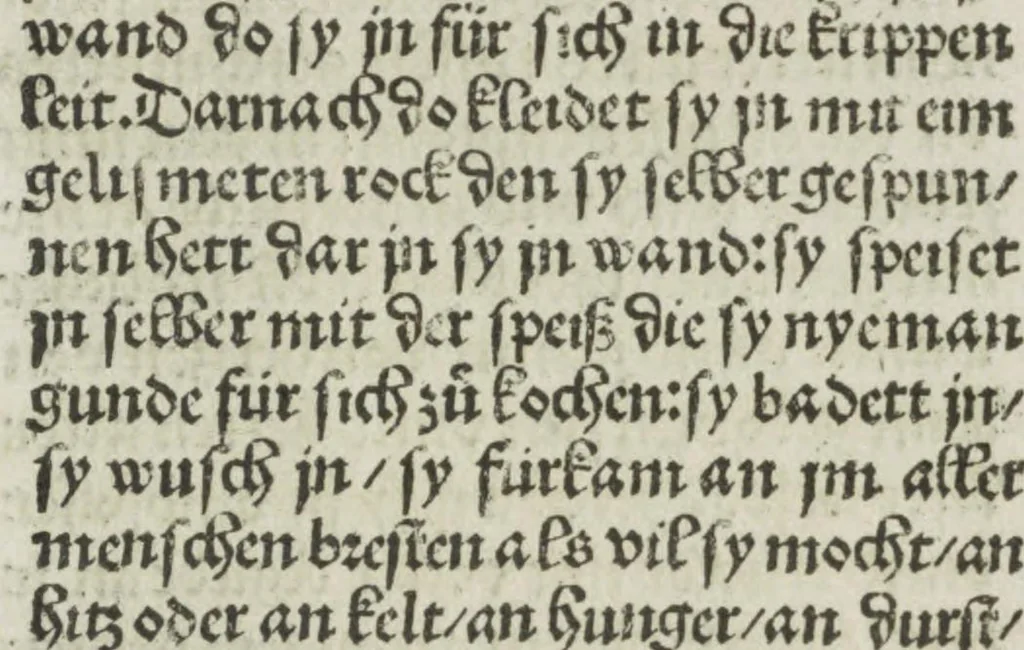 An illustration from Die vier vnd zwenzig Alten, 1500, leaf 101