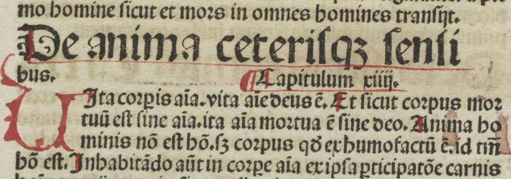 An illustration from De summo bono libri tres Sancti Isidori, Hyspaliensis Episcopi, 1492, leaf 28