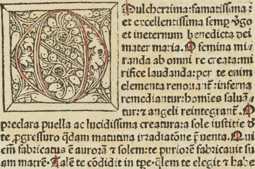 An illustration from Itinerarium seu peregrinatio Beate Virginis [et] Dei genitricis Marie, 1490, leaf 15