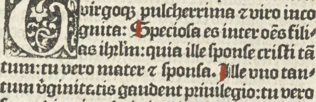 An illustration from Corona mistica Beate Marie Virginis gloriose, 1492, leaf 96