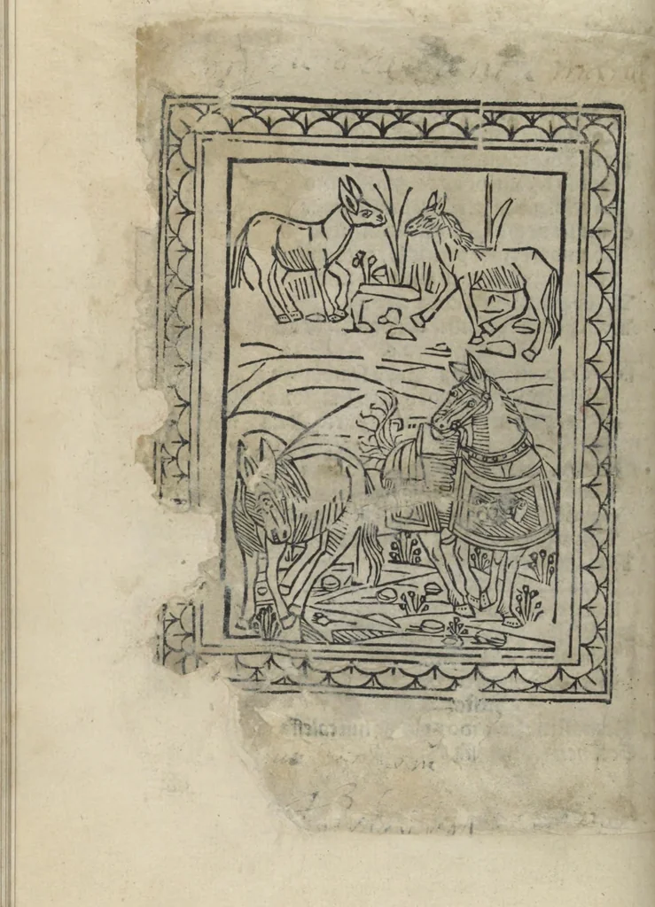 An illustration from Chosi falsa speranza ne martelia, non lassar mai lo certo per lo incerto, se non che del tuo proprio fie diserto, 1487, leaf 102
