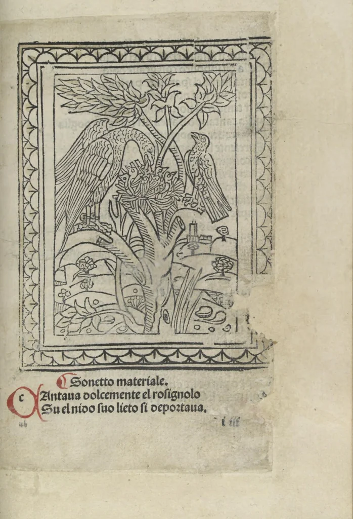 An illustration from Chosi falsa speranza ne martelia, non lassar mai lo certo per lo incerto, se non che del tuo proprio fie diserto, 1487, leaf 107