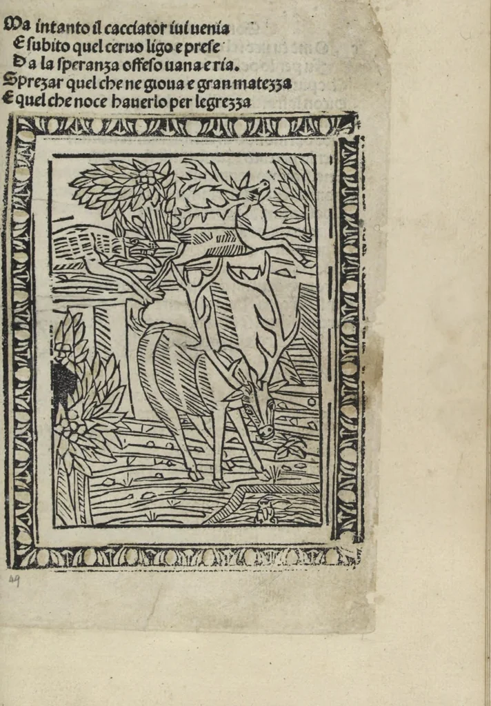 An illustration from Chosi falsa speranza ne martelia, non lassar mai lo certo per lo incerto, se non che del tuo proprio fie diserto, 1487, leaf 113