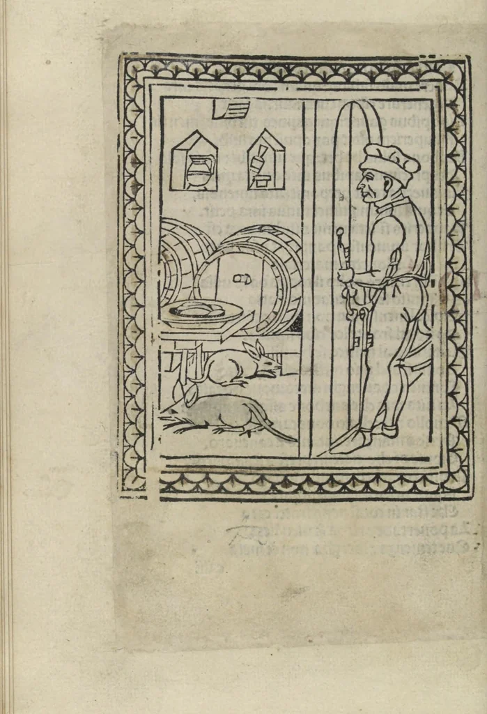 An illustration from Chosi falsa speranza ne martelia, non lassar mai lo certo per lo incerto, se non che del tuo proprio fie diserto, 1487, leaf 28