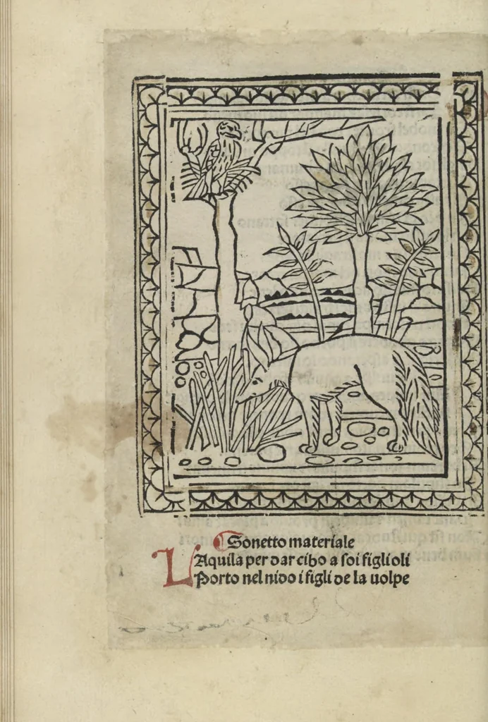 An illustration from Chosi falsa speranza ne martelia, non lassar mai lo certo per lo incerto, se non che del tuo proprio fie diserto, 1487, leaf 30