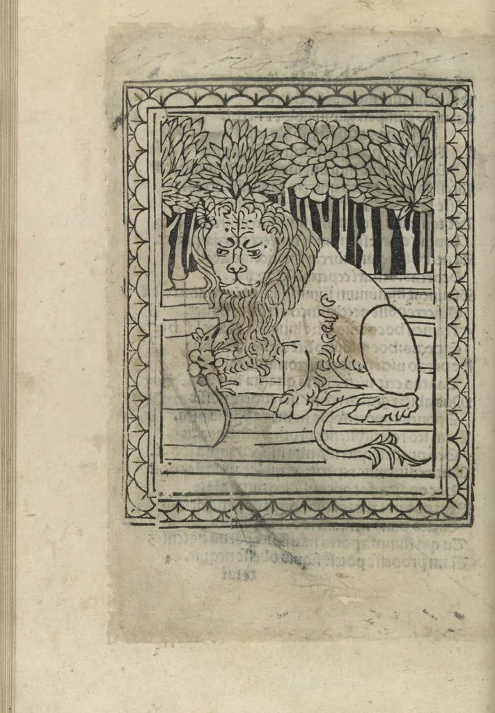 An illustration from Chosi falsa speranza ne martelia, non lassar mai lo certo per lo incerto, se non che del tuo proprio fie diserto, 1487, leaf 40