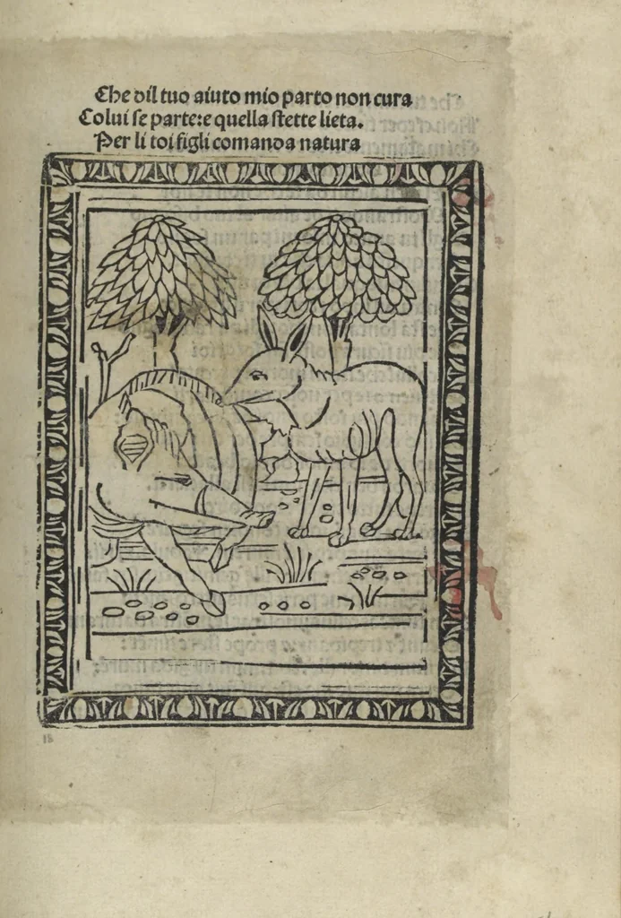 An illustration from Chosi falsa speranza ne martelia, non lassar mai lo certo per lo incerto, se non che del tuo proprio fie diserto, 1487, leaf 51