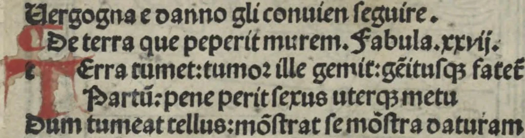 An illustration from Chosi falsa speranza ne martelia, non lassar mai lo certo per lo incerto, se non che del tuo proprio fie diserto, 1487, leaf 52