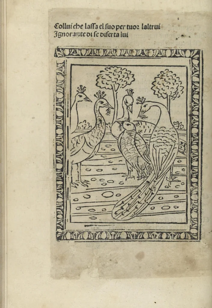 An illustration from Chosi falsa speranza ne martelia, non lassar mai lo certo per lo incerto, se non che del tuo proprio fie diserto, 1487, leaf 78