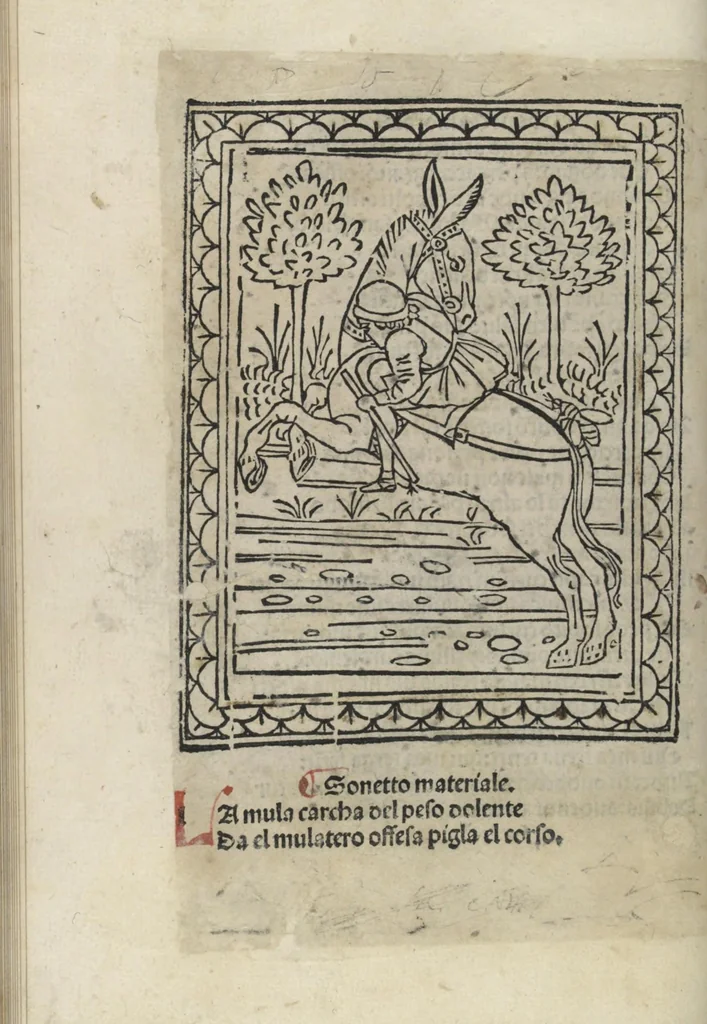 An illustration from Chosi falsa speranza ne martelia, non lassar mai lo certo per lo incerto, se non che del tuo proprio fie diserto, 1487, leaf 80