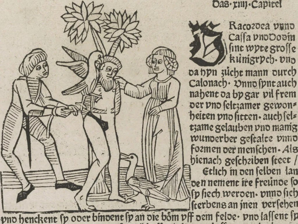An illustration from Itinerarium, 1484, leaf 100