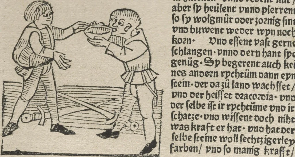 An illustration from Itinerarium, 1484, leaf 101