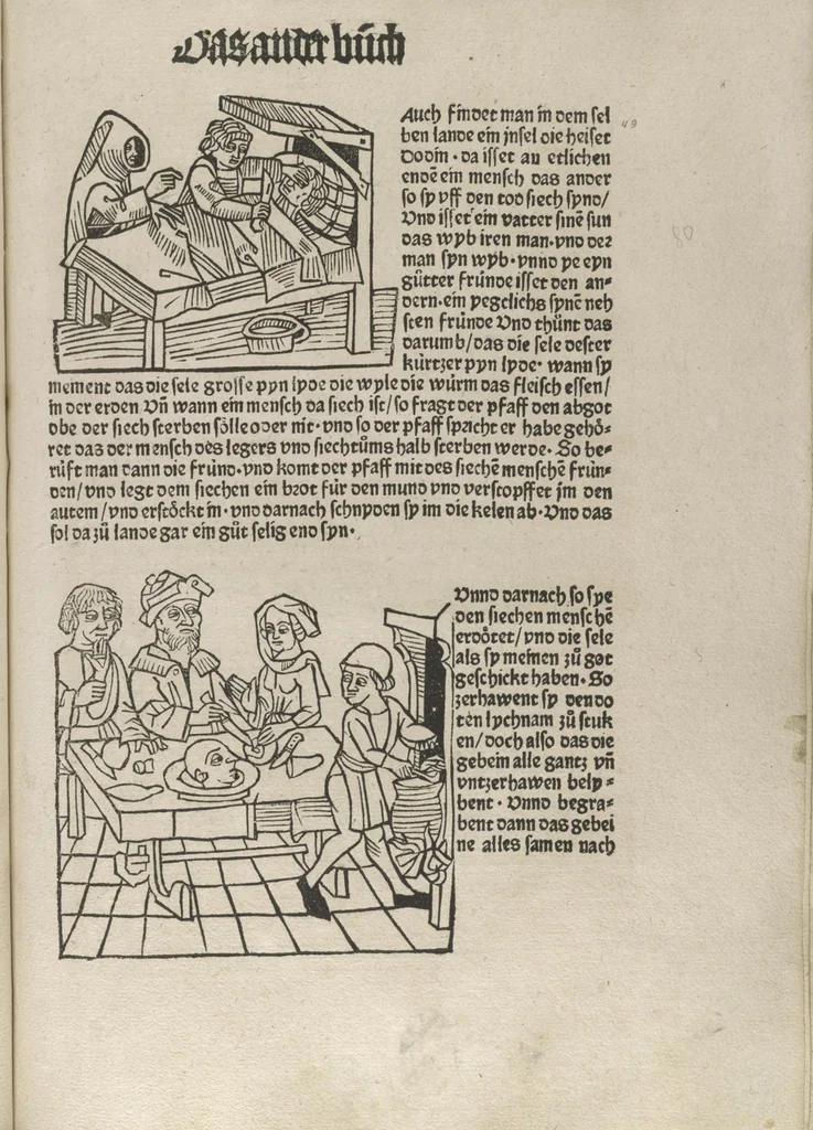 An illustration from Itinerarium, 1484, leaf 102