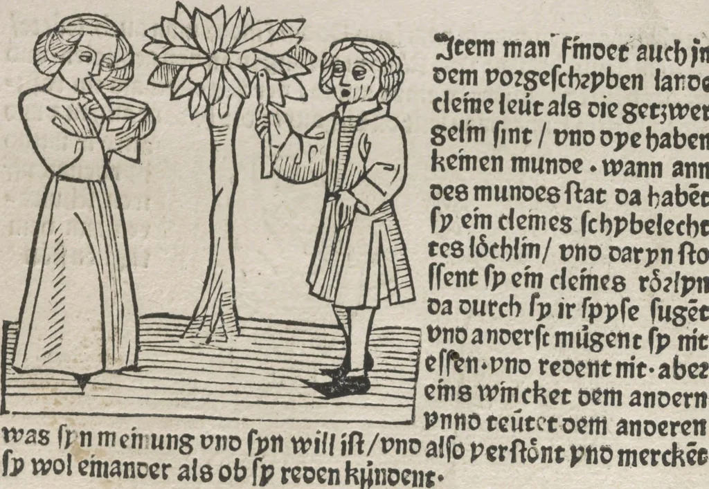An illustration from Itinerarium, 1484, leaf 105