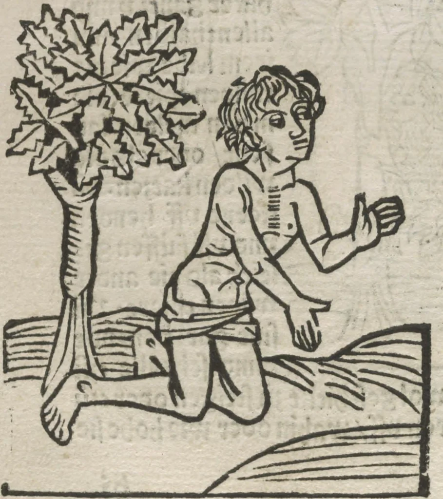 An illustration from Itinerarium, 1484, leaf 107