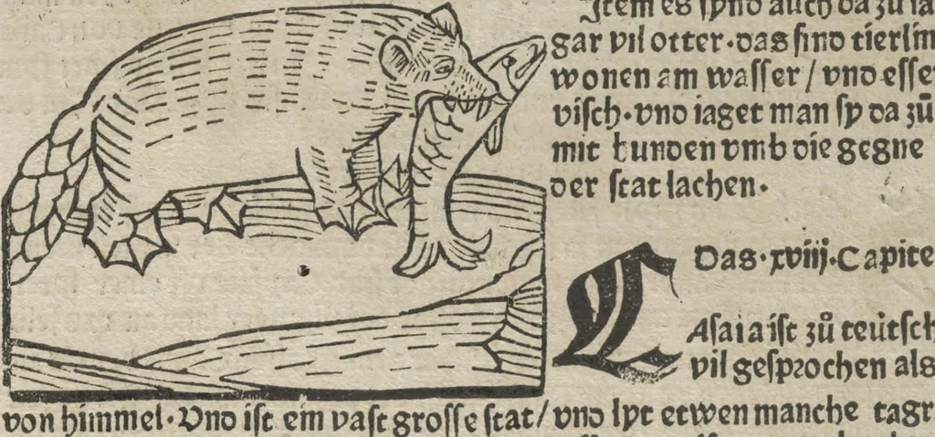 An illustration from Itinerarium, 1484, leaf 114