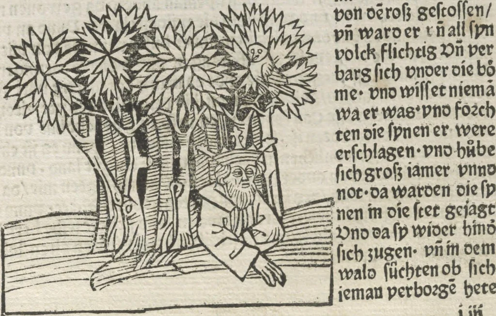 An illustration from Itinerarium, 1484, leaf 122