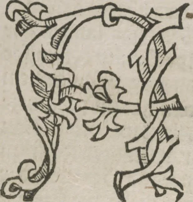 An illustration from Itinerarium, 1484, leaf 133