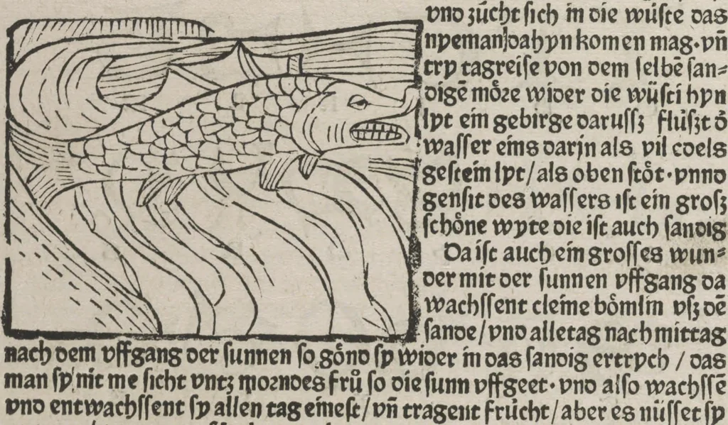 An illustration from Itinerarium, 1484, leaf 143