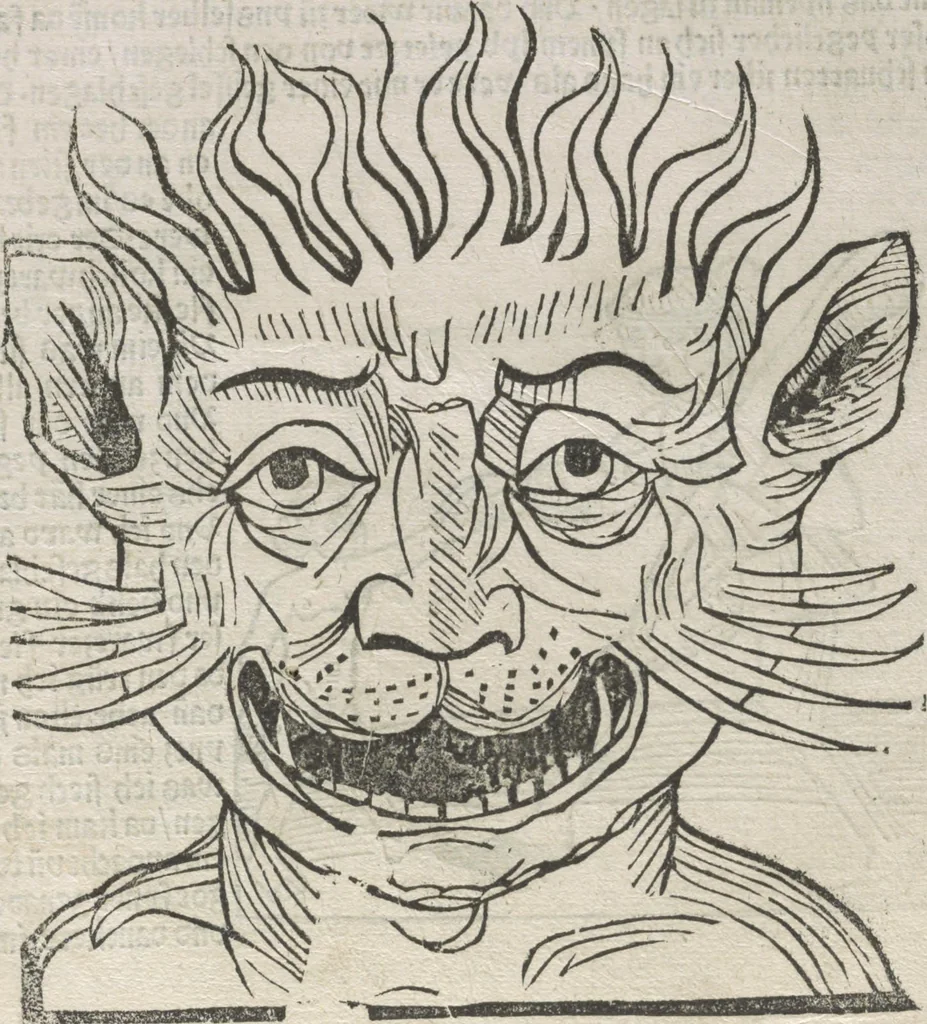 An illustration from Itinerarium, 1484, leaf 146