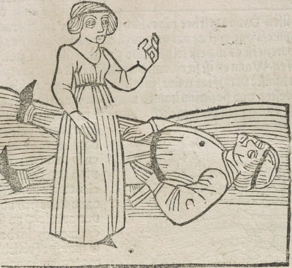 An illustration from Itinerarium, 1484, leaf 148