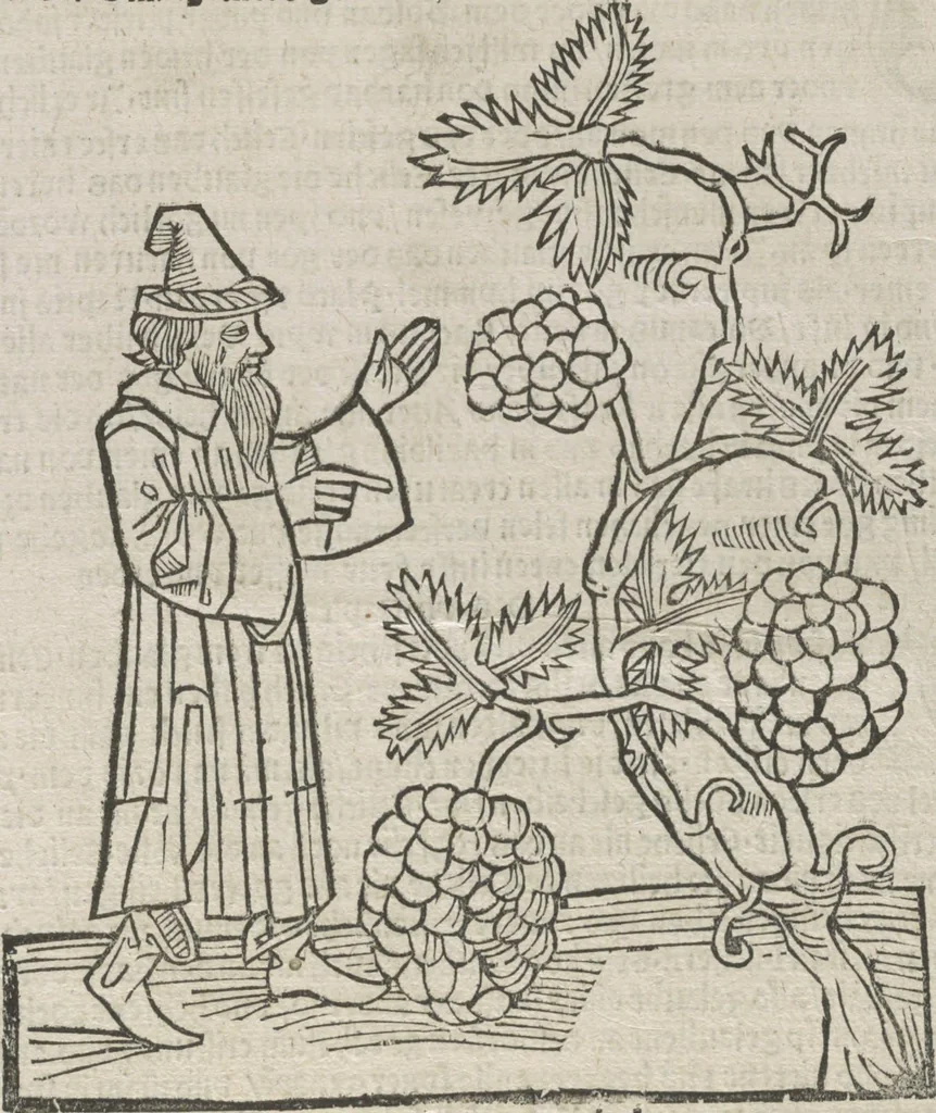 An illustration from Itinerarium, 1484, leaf 168