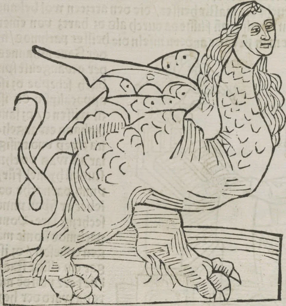 An illustration from Itinerarium, 1484, leaf 19