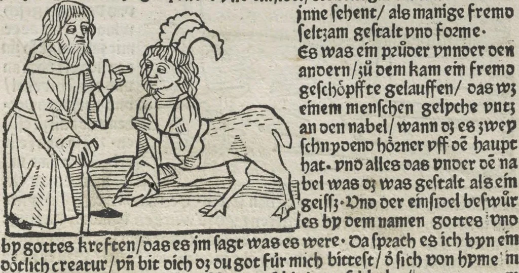 An illustration from Itinerarium, 1484, leaf 30