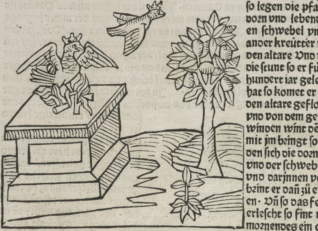 An illustration from Itinerarium, 1484, leaf 31