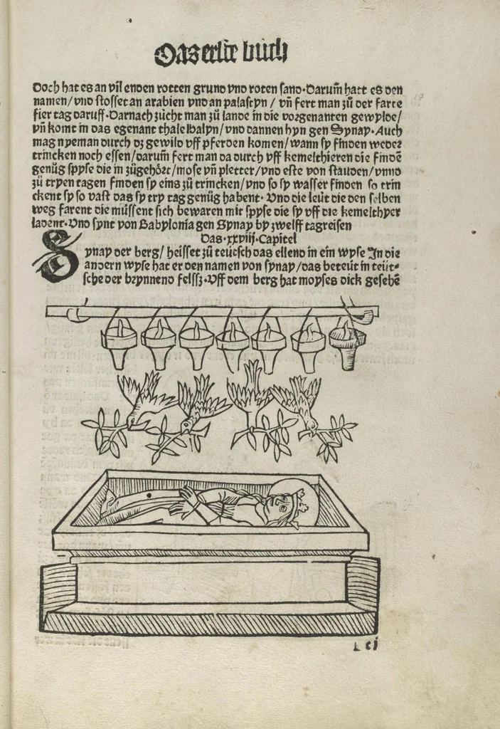 An illustration from Itinerarium, 1484, leaf 38