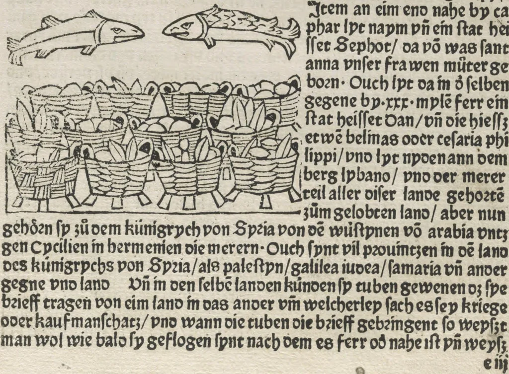 An illustration from Itinerarium, 1484, leaf 66