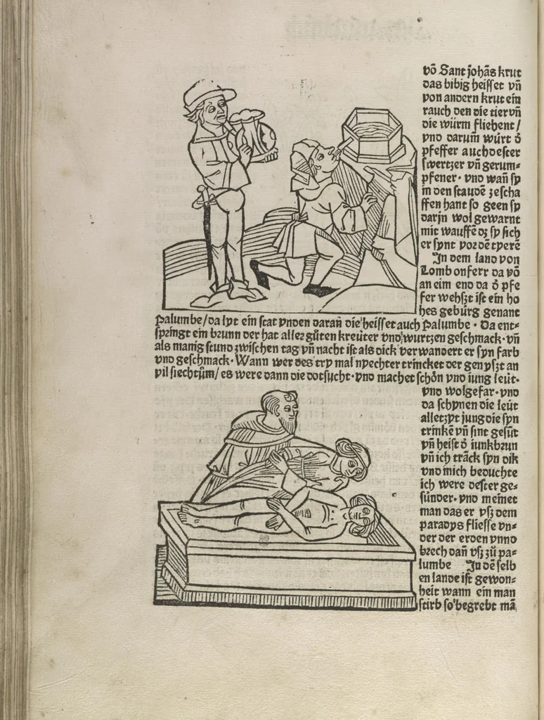 An illustration from Itinerarium, 1484, leaf 89