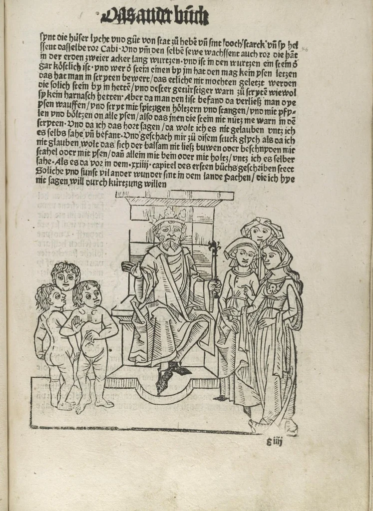 An illustration from Itinerarium, 1484, leaf 96