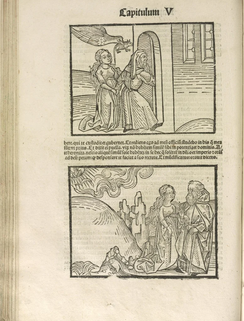 An illustration from Directorium humanae vite, alias Parabole antiquoru[m] sapientu[m], 1488, leaf 111