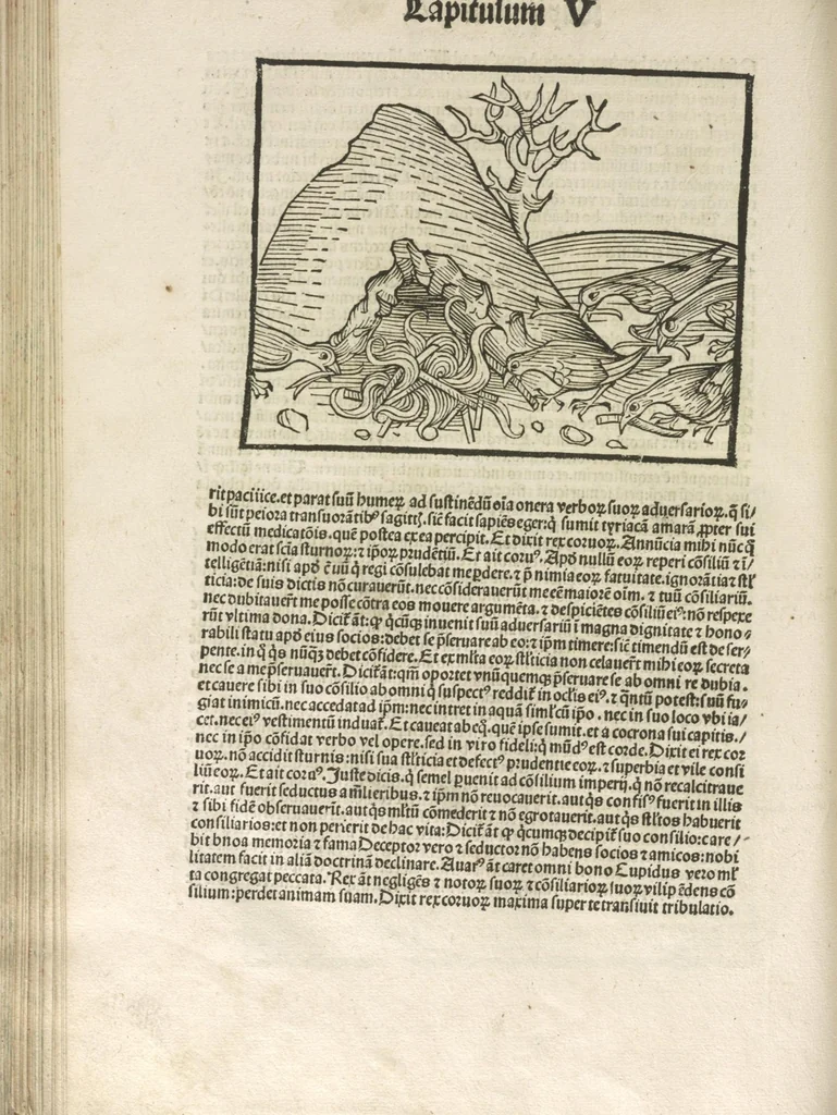 An illustration from Directorium humanae vite, alias Parabole antiquoru[m] sapientu[m], 1488, leaf 113