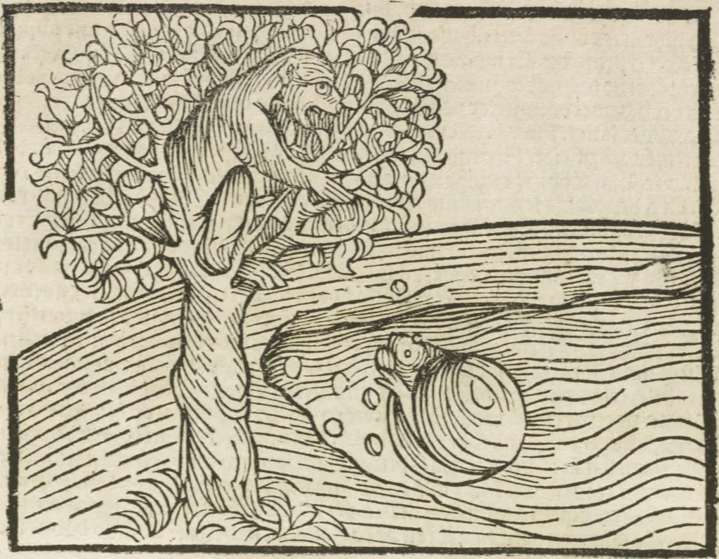 An illustration from Directorium humanae vite, alias Parabole antiquoru[m] sapientu[m], 1488, leaf 117
