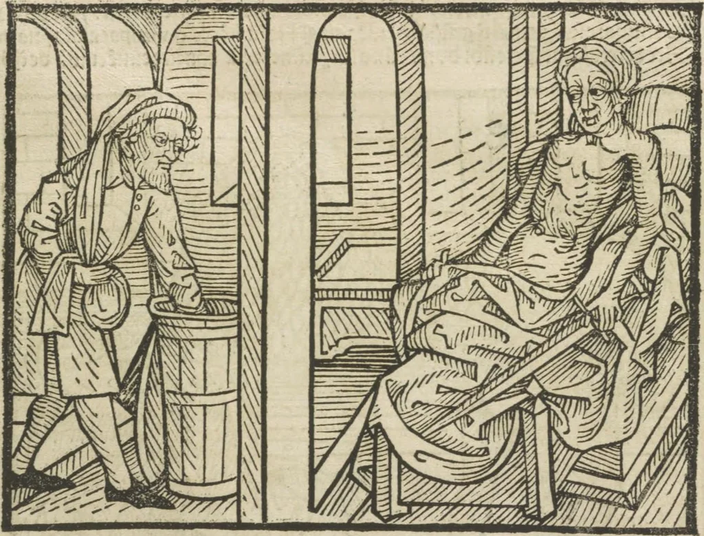 An illustration from Directorium humanae vite, alias Parabole antiquoru[m] sapientu[m], 1488, leaf 12