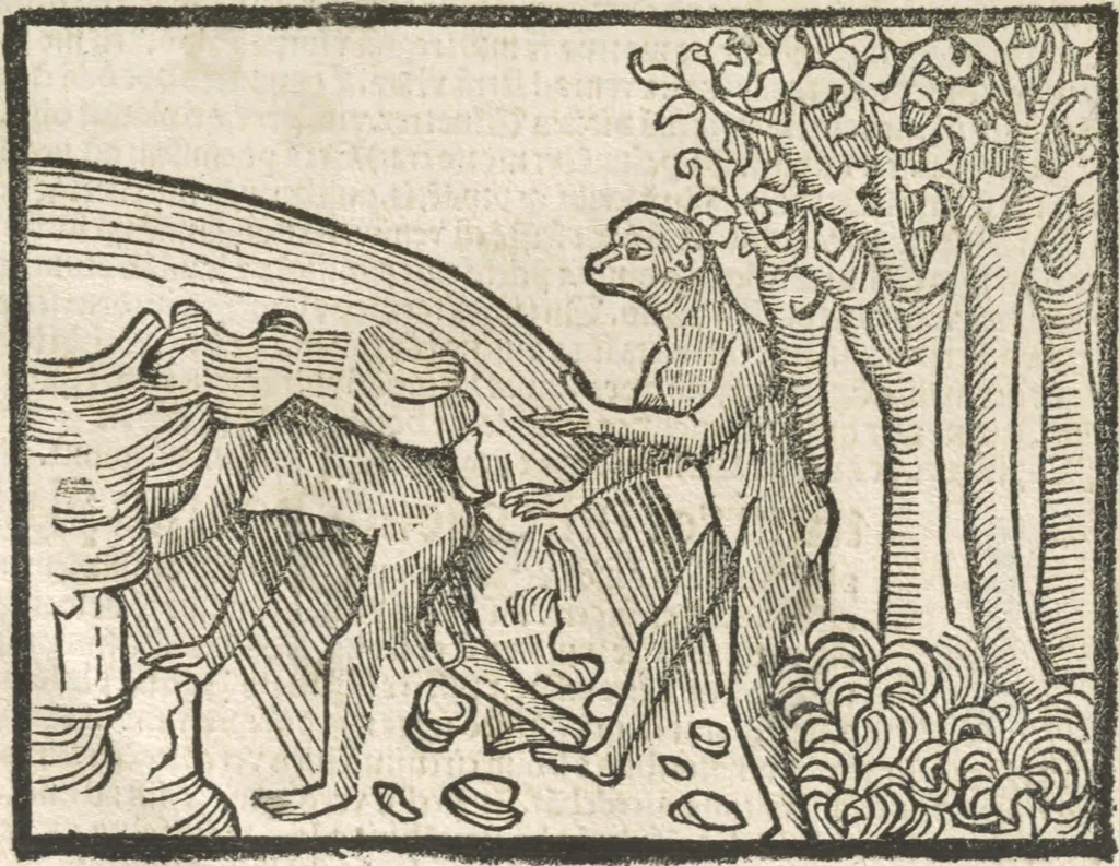 An illustration from Directorium humanae vite, alias Parabole antiquoru[m] sapientu[m], 1488, leaf 163