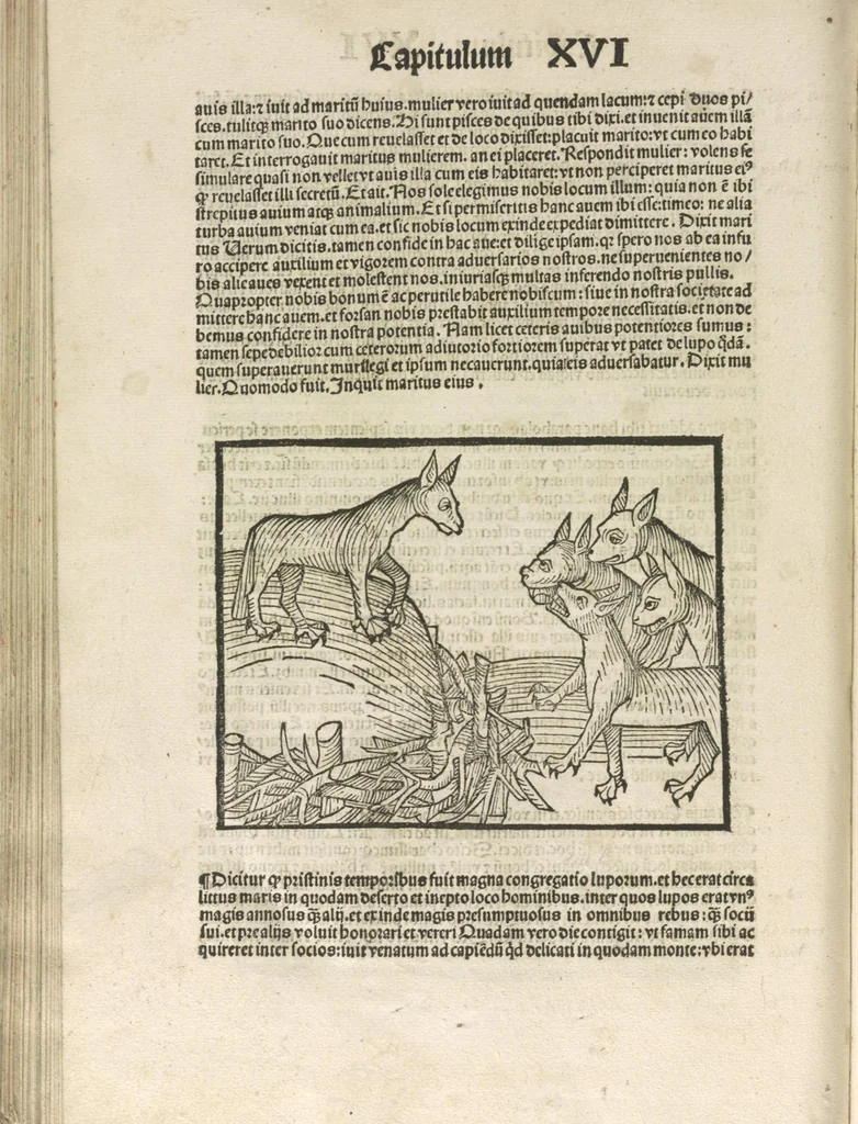An illustration from Directorium humanae vite, alias Parabole antiquoru[m] sapientu[m], 1488, leaf 165